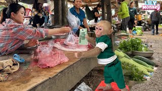 Monkey Lily helps dad harvest vegetables and open a stall at the market