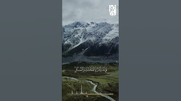 الشيخ #وديع_اليمني تلاوة تأسر القلوب 🥺 عطر مسامعك 🎧