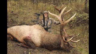 Rosebud Elk Part 2- Winchester Deadly Passion