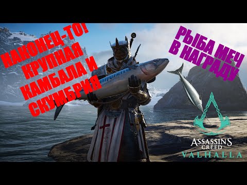 ГДЕ НАЙТИ КРУПНУЮ КАМБАЛУ И СКУМБРИЮ В Assassin's Creed: Вальгалла!