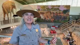 WATCH: Meet new Waco Mammoth site manager Theresa Moore