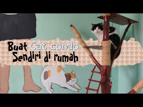 Video: Cara Membuat Menara Kucing atau Pohon Kucing Anda Sendiri