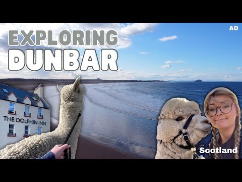 Discover Dunbar Ep 1: Alpaca Trekking & Belhaven Beach. AD