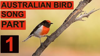 AUSTRALIAN BIRDSONG PART 1 . A celebration of the songs, calls and sounds of Australian Birds.