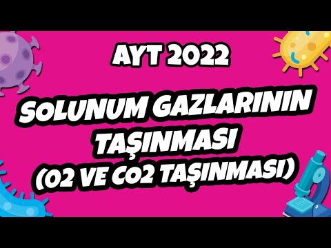 Solunum Gazlarının Taşınması (02 ve CO2 Taşınması) | AYT Biyoloji 2022 #hedefekoş