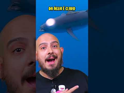 Miniatura do vídeo O atum MORRE se parar de NADAR! #curiosidades