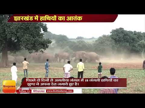 Jharkhand  News II elephant attack on villagers Jharkhand, 1 people killed by elephants in 48 hours