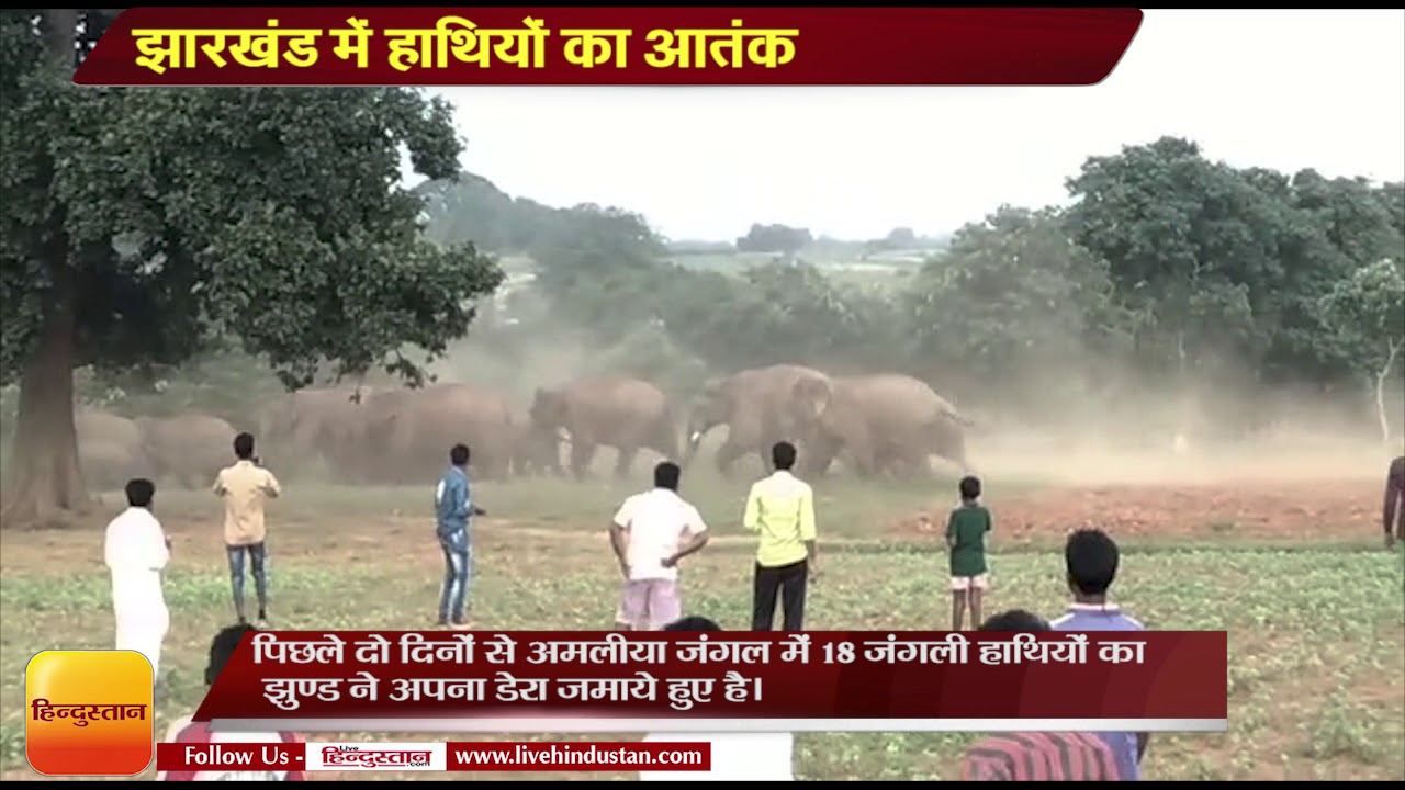 Jharkhand  News II elephant attack on villagers Jharkhand, 1 people killed by elephants in 48 hours