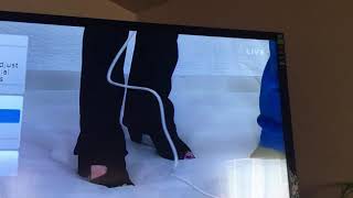Celebrity Qvc air mattress pop fail Net Worth