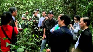 The Manyangguang Holy Hill - Part 2