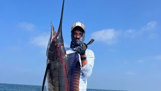 متعة صيد التونه في جزيرة مصيرة