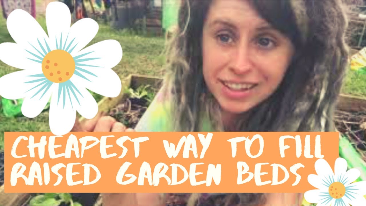 The CHEAPEST way to Fill Raised Garden Beds - YouTube