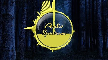 Liquid【100 types】Audio Spectrum 20 - After Effects CC - NCS