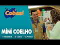 Mini Coelho