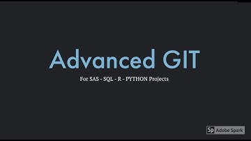 GIT Methods for SAS - SQL - R - PY