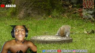 ISHOWSPEED Gets Jumpscared by a SQUIRREL