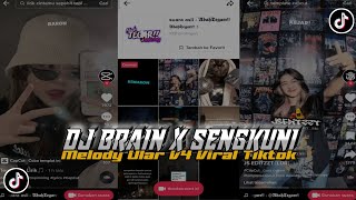 DJ BRAIN X SENGKUNI MELODY ULAR V4 VIRAL TIKTOK ( @bongobarbar )