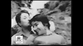 அழகுக்கு மறு பெயர் | அன்னமிட்ட கை | Azhagukku Maru Peyar | Annamitta Kai | 1972 |