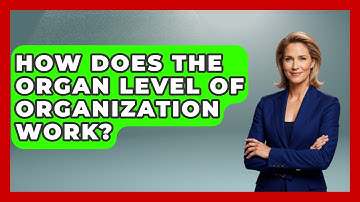 How Does The Organ Level Of Organization Work? - All About Anatomy Answers