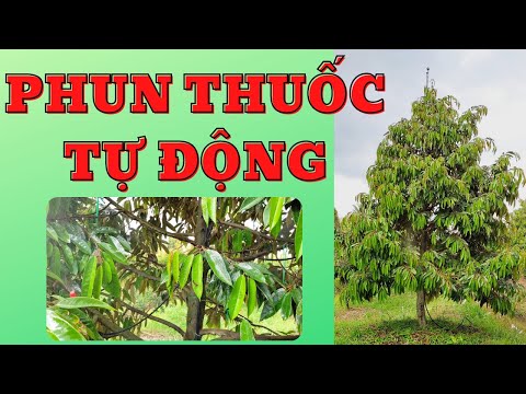 Video Lắp đặt hệ thống phun thuốc tự động cho vườn cây ăn... - youtube