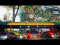 Rope Dropping Disney's Animal Kingdom In 2021 | What to Expect This Year