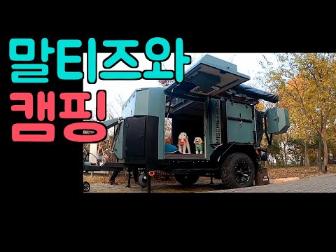 [<strong>Maltese</strong>] 517탄. 까발로트레일러와 말티즈와 떠나는 가을 갬핑