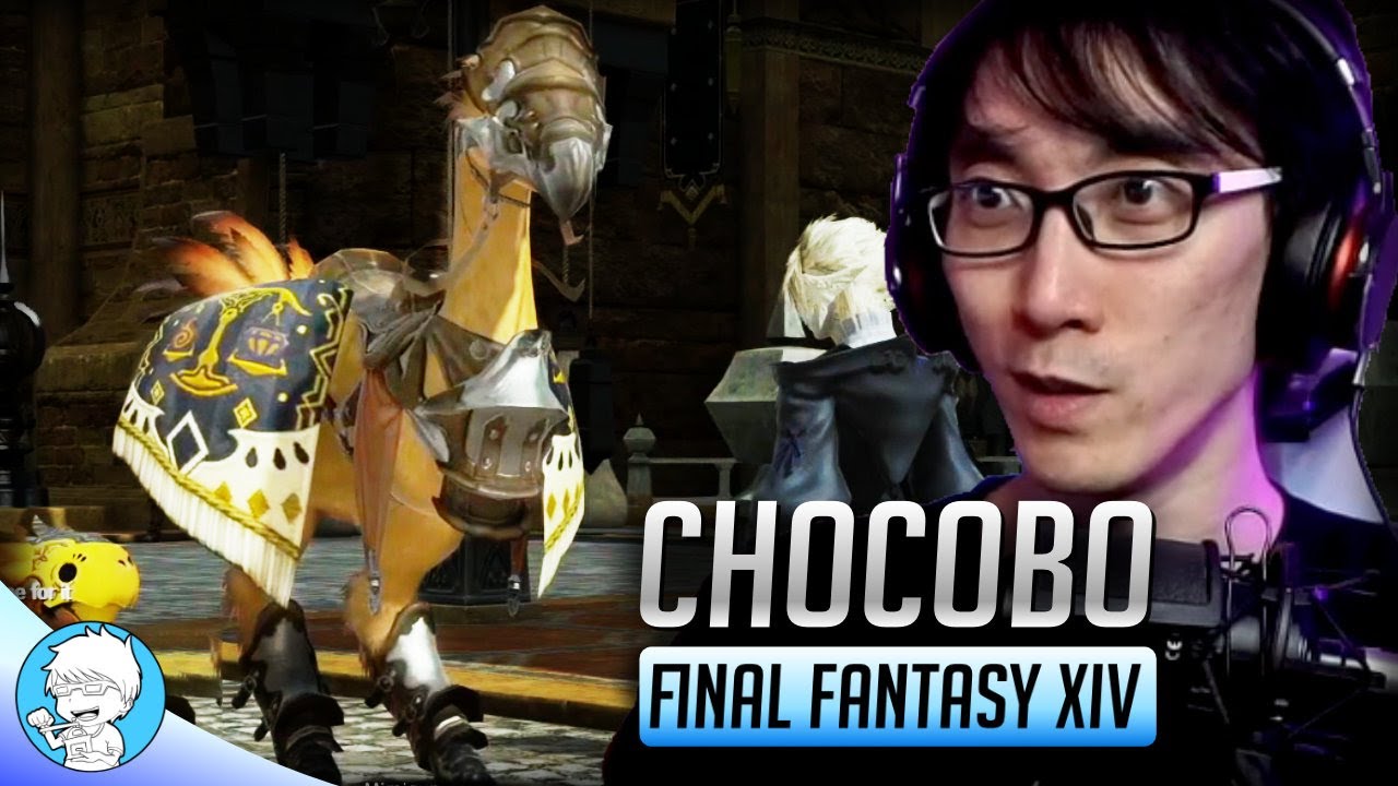 Getting a Chocobo the First Time｜FFXIV Online