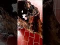 A cinematic look at the textures, cracks, #woodworking, #reclaimedwood #diy #restoration #woodcraft