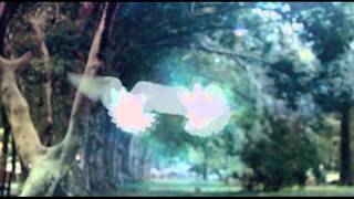 Property Work By Anthony Yip