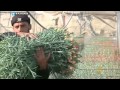 رفع الحصار على غزة أبرز