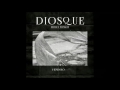 Diosque feat molly nilsson  vindolo