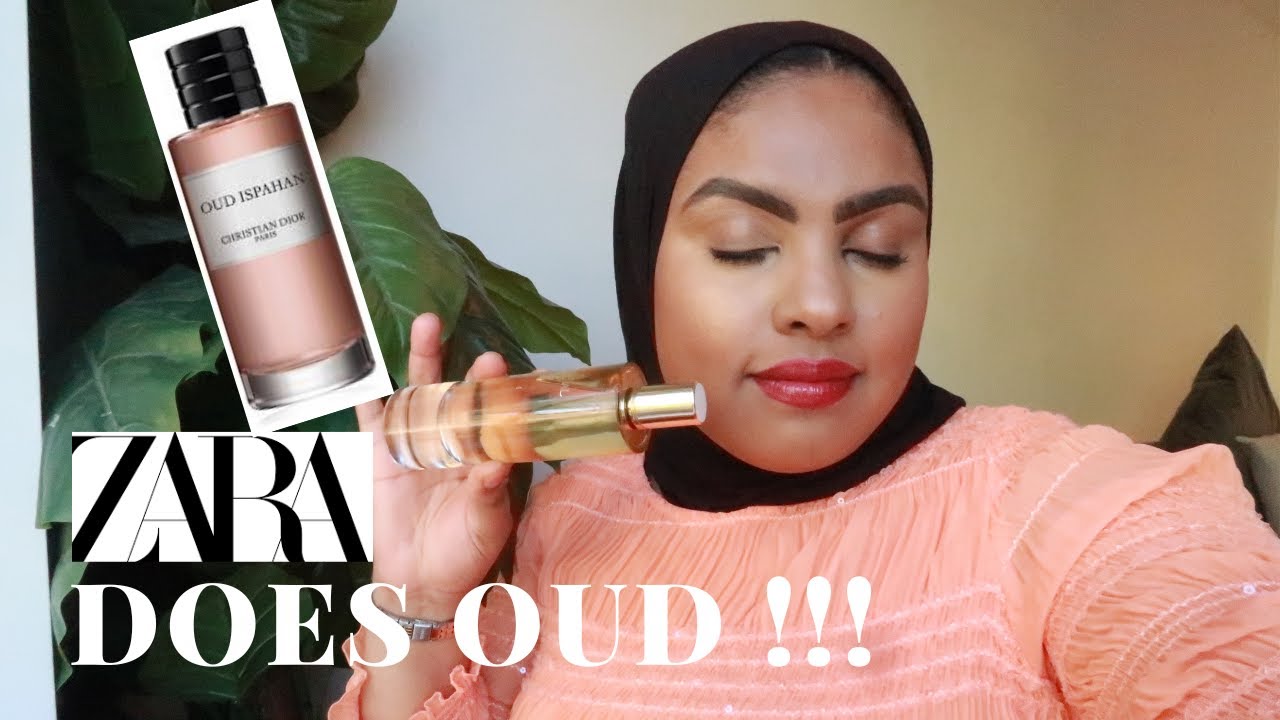 zara universal oud 2023 dupes｜TikTok Search