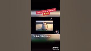 dinoking exe misi sekelompok pinguin