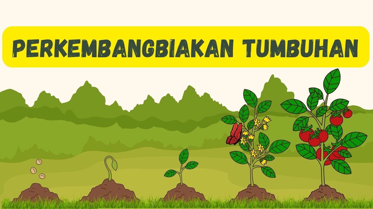 PERKEMBANGBIAKAN TUMBUHAN (GENERATIF dan VEGETATIF)