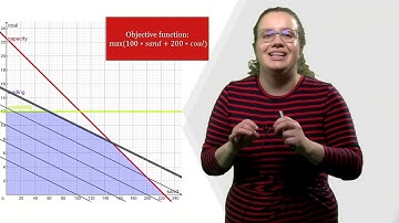 Special Cases in Linear Programming