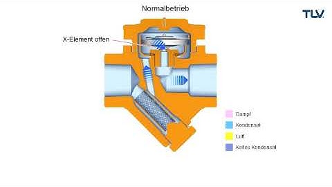 Thermische Kondensatableiter L21S Betriebsanimation