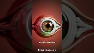 Kuru Göz İçin Lazer Tedavisi Nasıl Yapılır? IPL Nedir?
