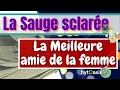 Rgles douloureuses mnopause varices comment utiliser lhuile essentielle de sauge sclare