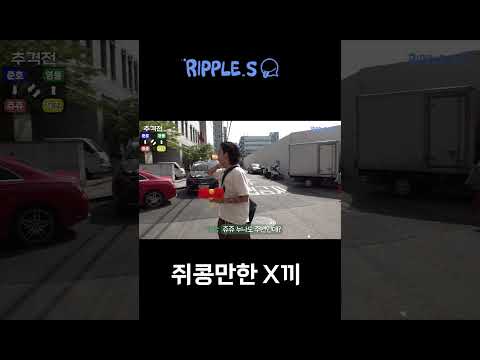 [리플] | Ripple_S / 쥐콩만한 X끼