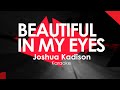 Beautiful in my Eyes - Joshua Kadison Karaoke