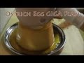 Ostrich Egg Giga Pudding Recipe~ダチョウの卵でバケツプリンの作り方~