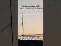 «А что происходит?»