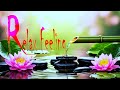 Sun Relax4k/ The feeling of watching water flowing from a bamboo pipe and lotus flowers and rain