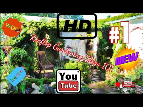 Video: Herb Garden Design - Paano Gumawa ng Herb Garden