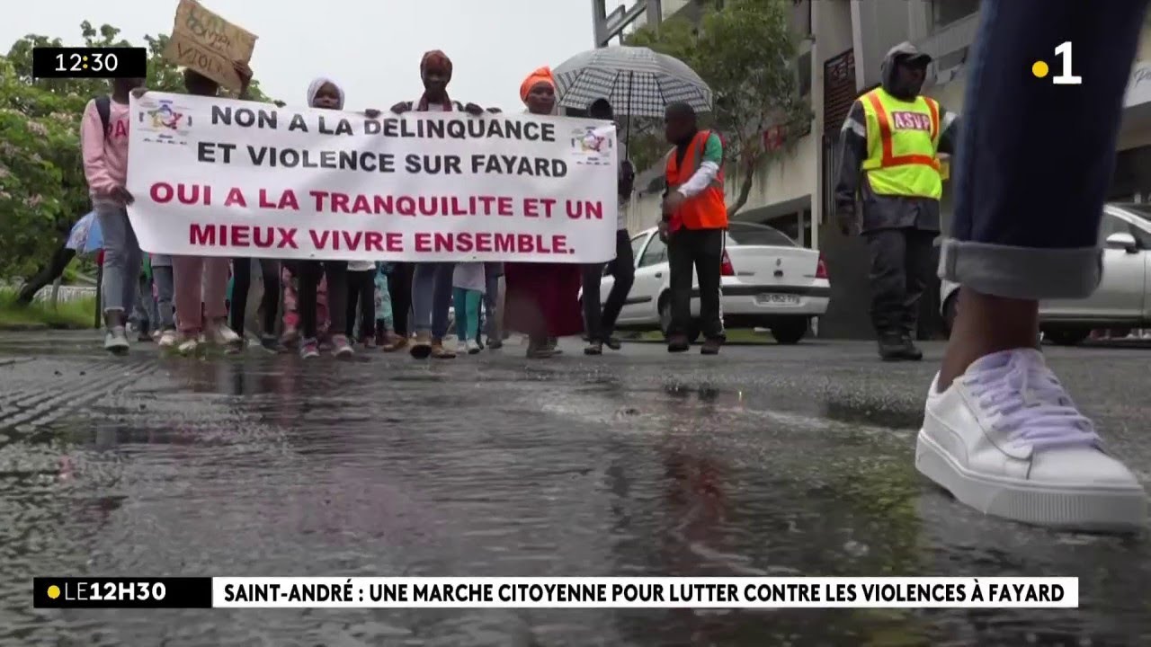 Quartier Fayard à Saint-André : une marche citoyenne