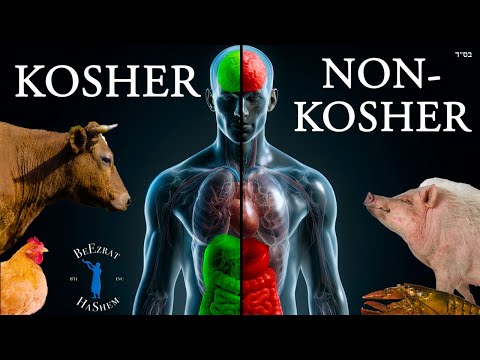 Bagaimana Makanan Non-Kosher Mempengaruhi Tubuh dan Jiwa | Film BeEzratHaShem