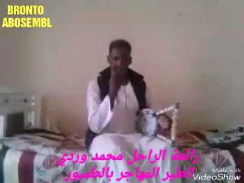 الطير المهاجر عزف رائع بالطمبور رائعة الراحل وردي 