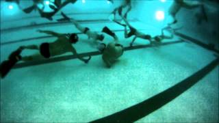 San Francisco Underwater hockey 2012 Bronze Medal  2of2