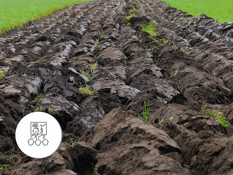 Išsaugoti dirvožemį – vienas aktualiausių nūdienos agronominių iššūkių