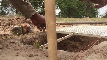 primitive technology - Learning How to make Simple Bird Trap by smart Boy